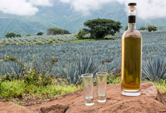 Tequila